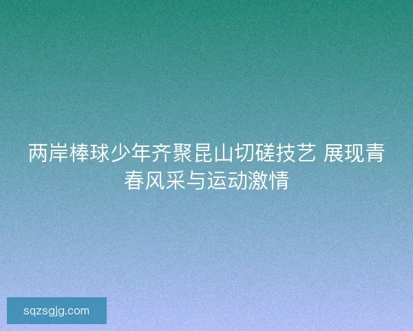 两岸棒球少年齐聚昆山切磋技艺 展现青春风采与运动激情 两岸棒球少年齐聚昆山切磋技艺 展现青春风采与运动激情
