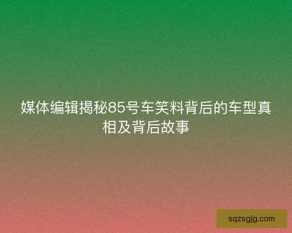 媒体编辑揭秘85号车笑料背后的车型真相及背后故事