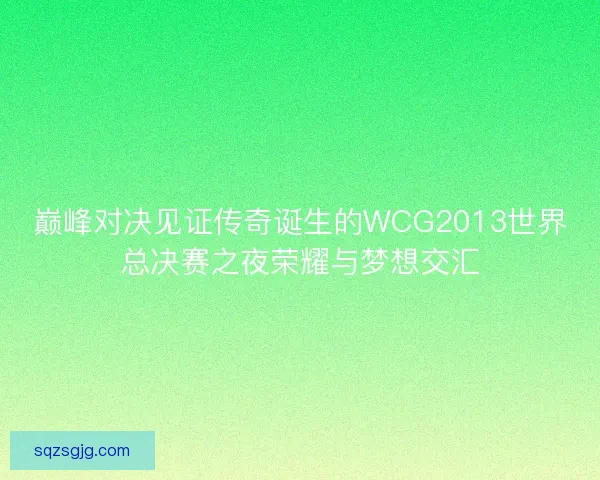 巅峰对决见证传奇诞生的WCG2013世界总决赛之夜荣耀与梦想交汇